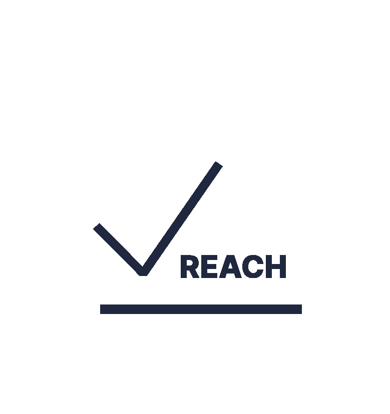 reach-icon