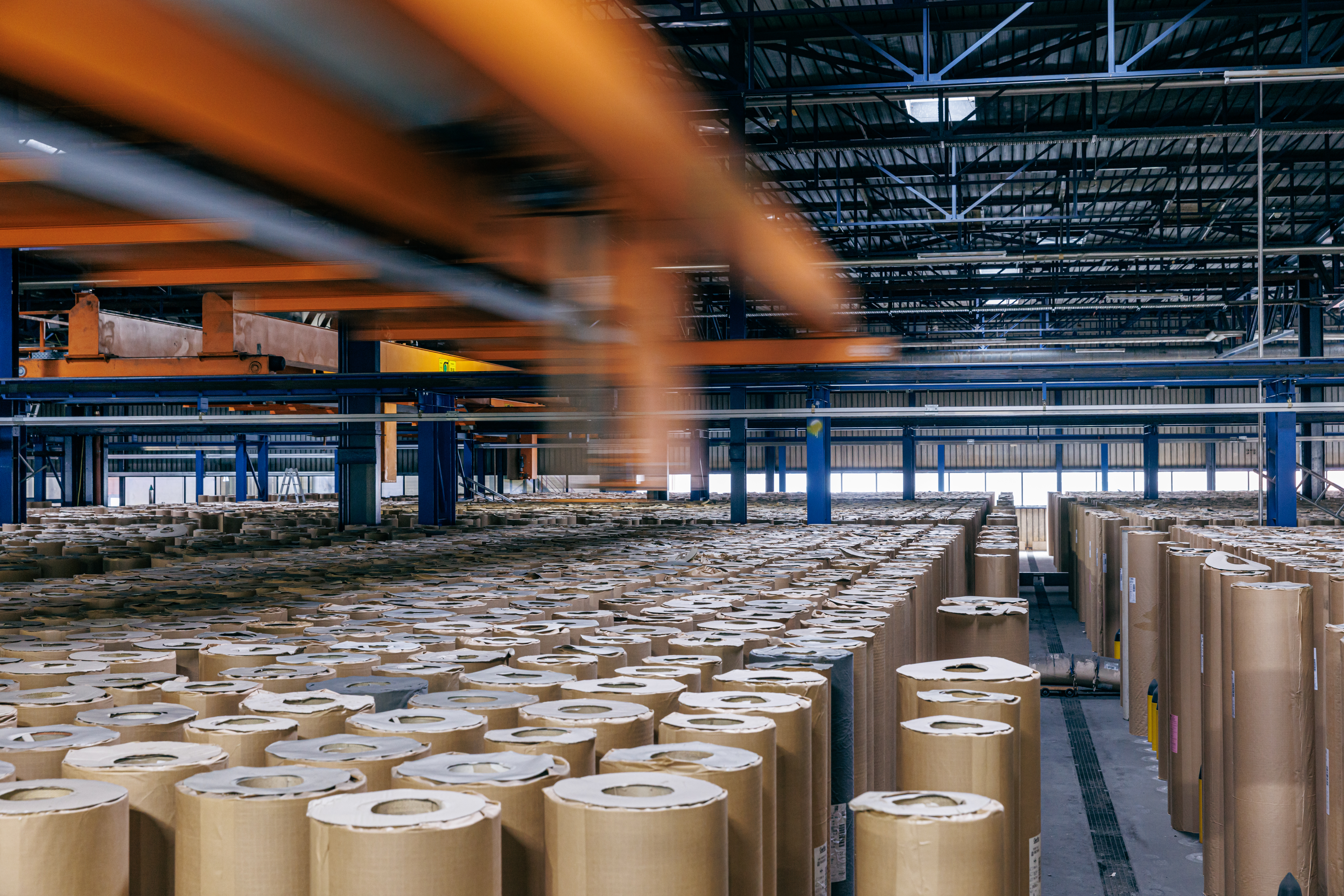 dlw plant