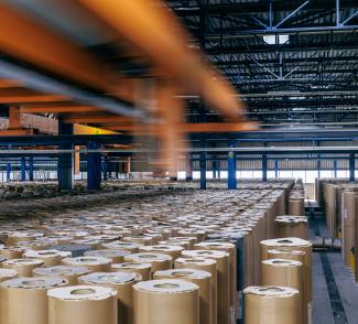 dlw plant