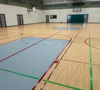 Treeline PS 5