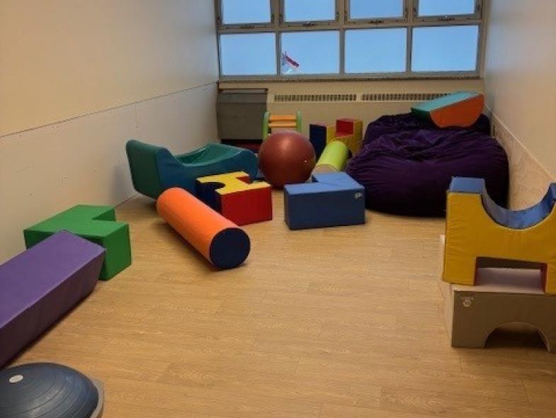 tdsb_wellesworth_sensory_room_1