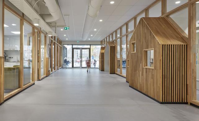 Education-Elementary schools